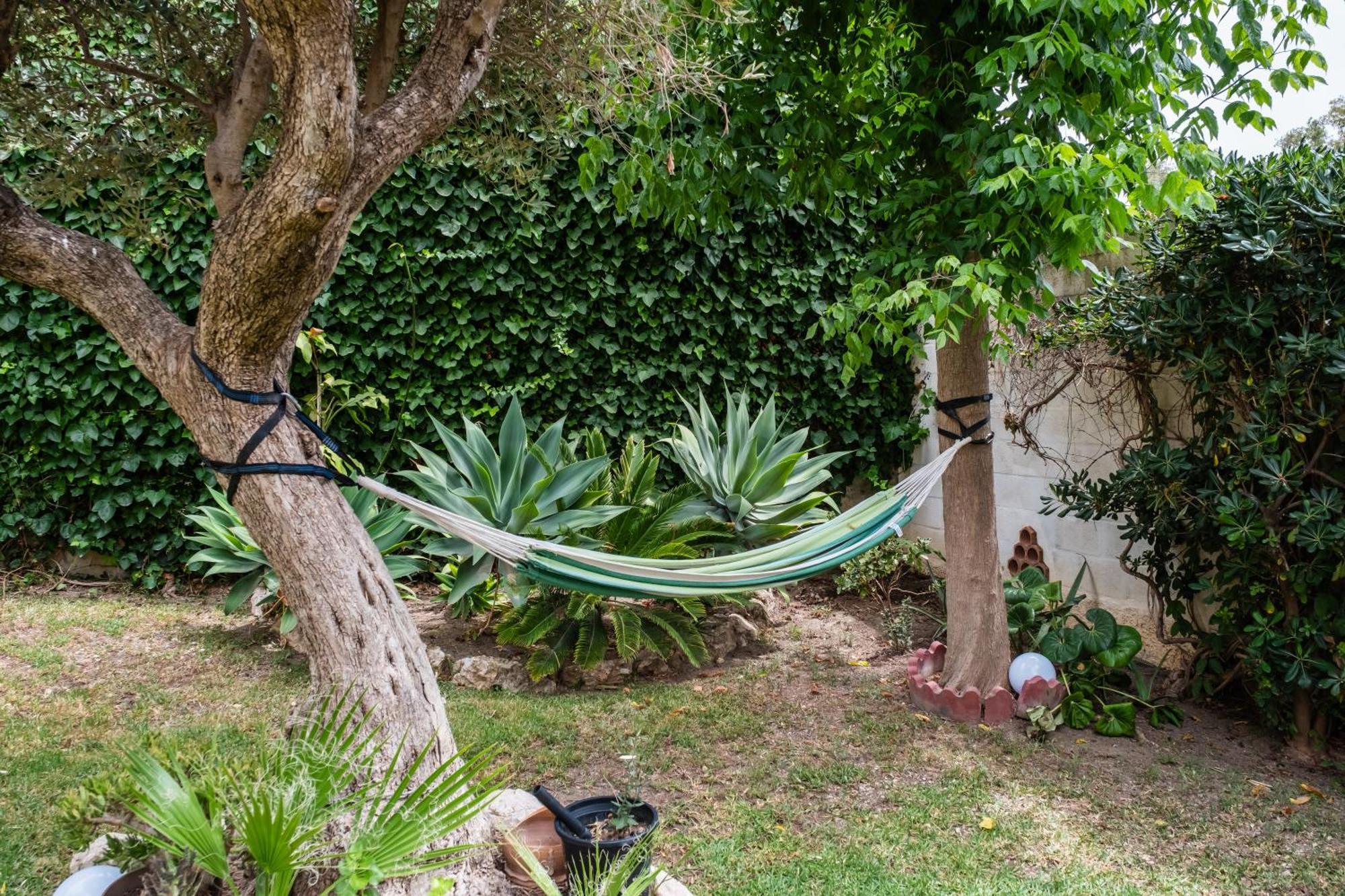 Apartamento con terraza y amplio jardín privado Málaga Exterior foto