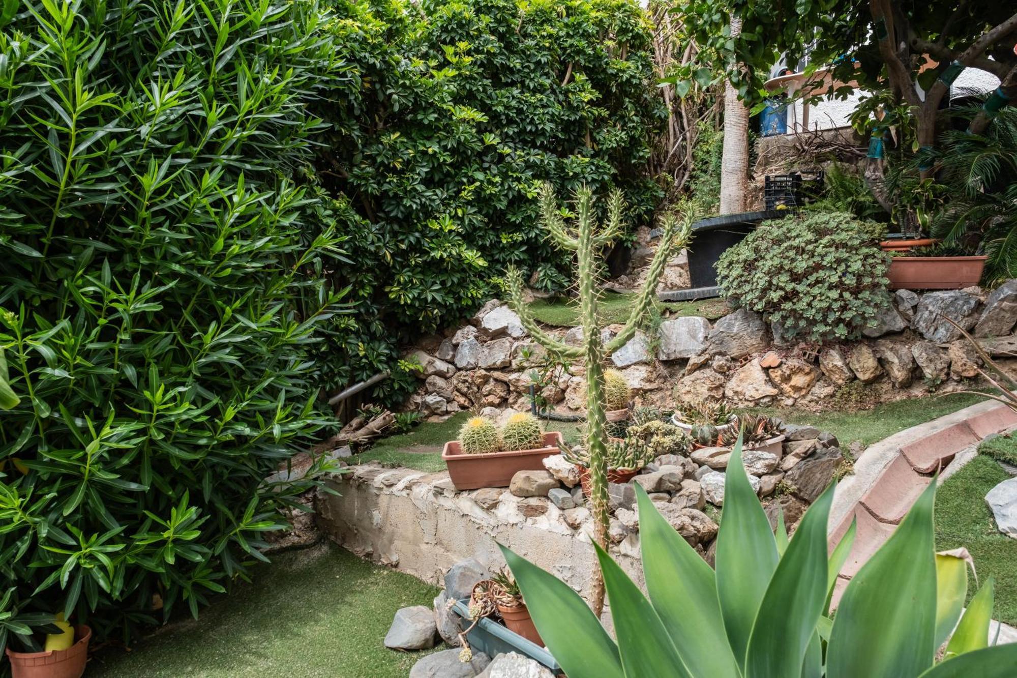 Apartamento con terraza y amplio jardín privado Málaga Exterior foto